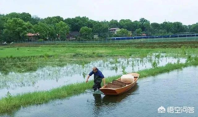 有人说现在全国各地都在扩养小龙虾，现在入市还来得及吗？