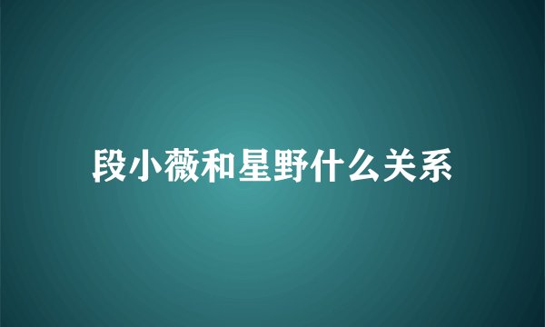 段小薇和星野什么关系