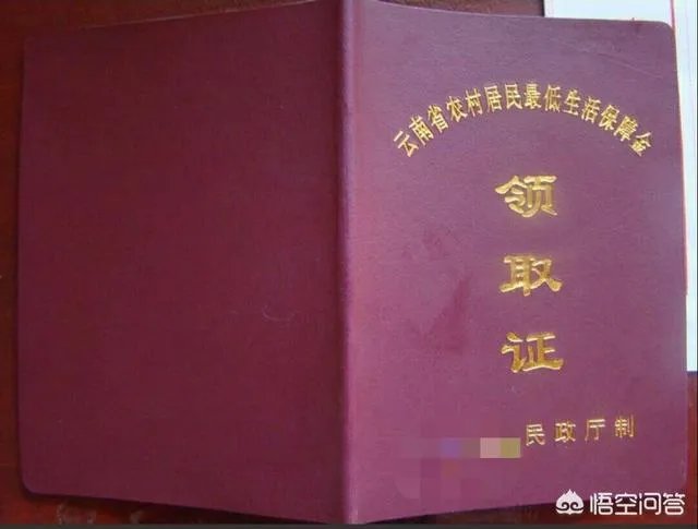 农村户口，有重大疾病、有车、有房可以办低保吗？