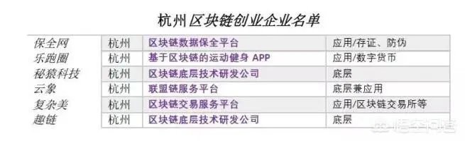 中国专门从事区块链技术研发的大型公司有哪些？