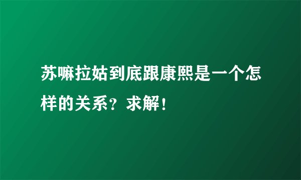 苏嘛拉姑到底跟康熙是一个怎样的关系？求解！