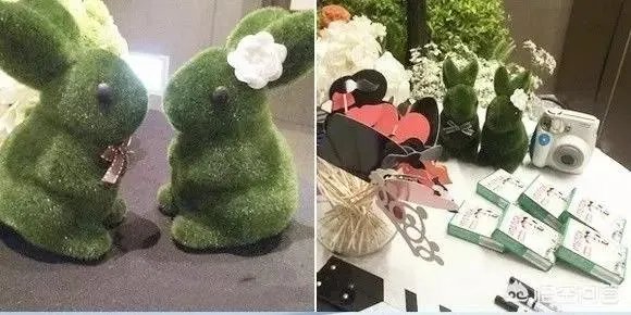 #鉴剧大赏#杨幂、高圆圆、迪丽热巴、关晓彤……谁才是你心中国剧第一女神?