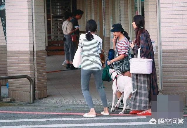 6月17日郭碧婷腹部隆起似皮球被猜测怀孕，为什么明星生子这么多人关注？