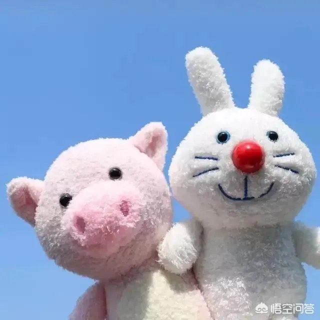 想当美术老师，是当画室老师比较好，还是在学校当老师比较好？