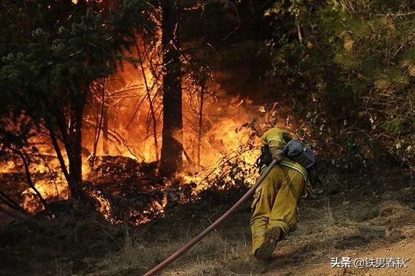 森林大火加拿大澳大利亚