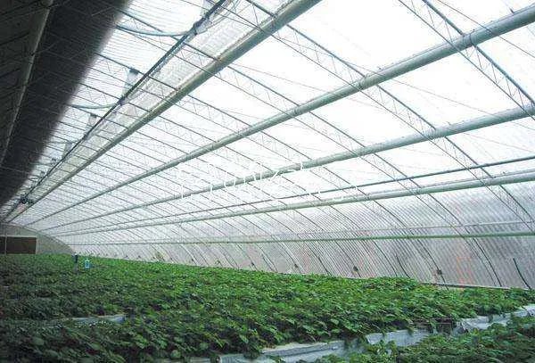 为什么北方农业温室大棚越来越少了？