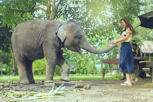 00后五一旅游预订量同比涨超570%