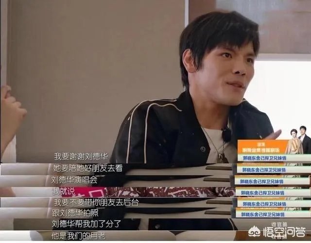 为什么有人说郭碧婷不喜欢向佐？