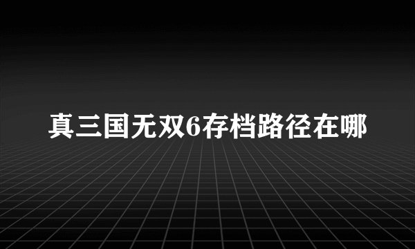 真三国无双6存档路径在哪