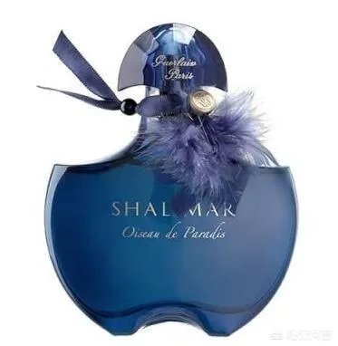 娇兰一千零一夜Shalimar的全部版本有哪些？