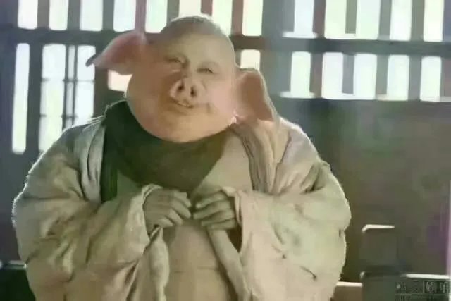 日本拳手对杨建平脸上吐口水，老杨冲上擂台OK日本和教练，您对杨建平老师如何看待？