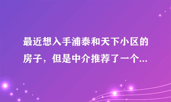 最近想入手浦泰和天下小区的房子，但是中介推荐了一个边户，浦泰和天下小区噪音大吗？可以入手吗？