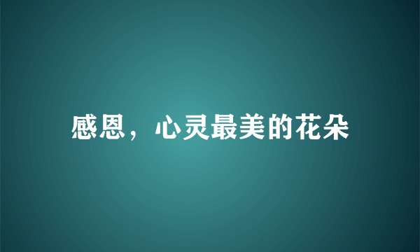 感恩，心灵最美的花朵