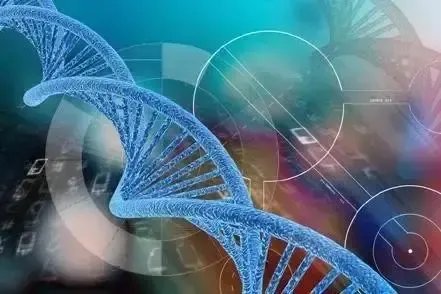 试管移植第14天hcg多少正常-胚胎移植后14天hcg正常值参考范围