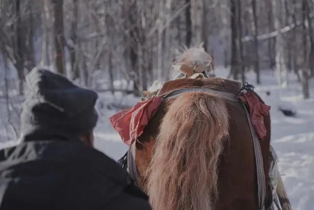 你喜欢东北冬天特有的风景吗？