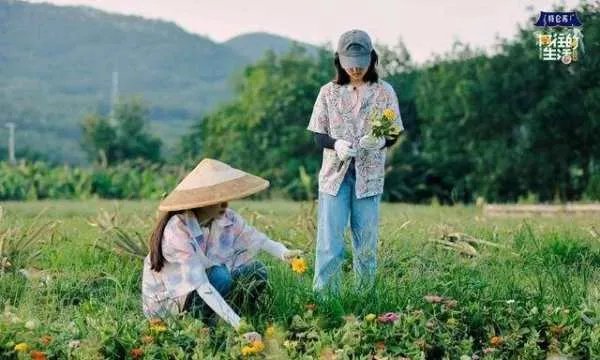 教养是装不出来的，欧阳娜娜在《向往的生活》中都有哪些有教养的行为？