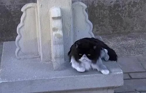 甄嬛传里有哪些穿帮镜头？