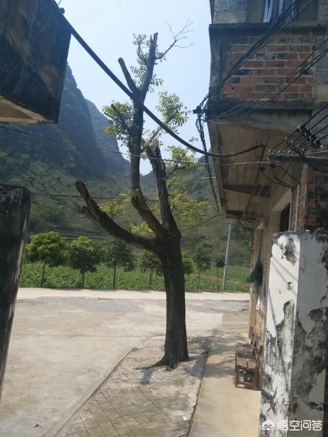 如果人常不在家住还要交卫生费吗