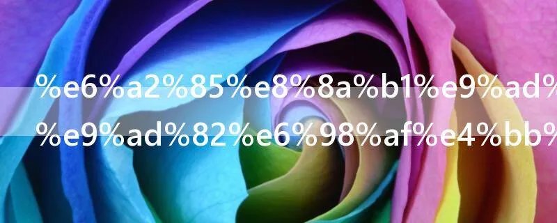 梅花魂中的魂是什么意思啊