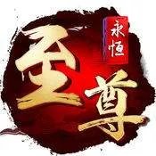 小说《永恒至尊》中的等级划分是怎么样的？