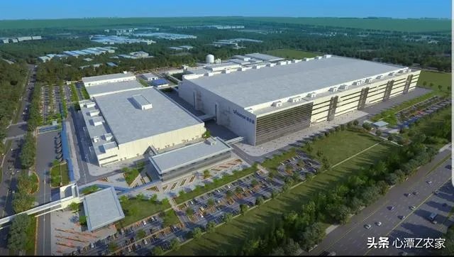 世界显示 “屏”什么看合肥？