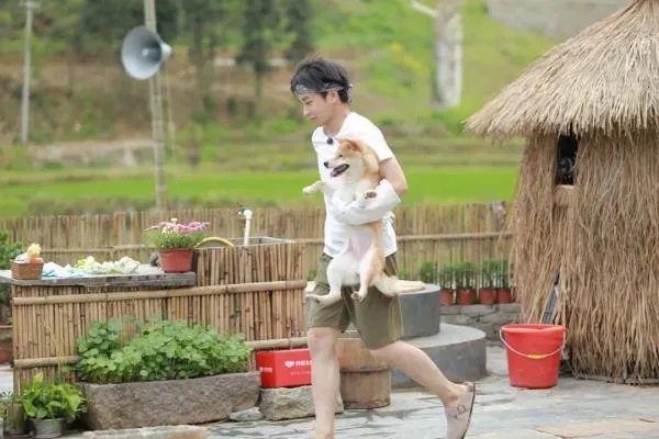 《小小的愿望》上映后，彭昱畅的番位怎么被压了？