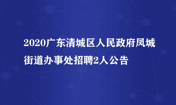 2020广东清城区人民政府凤城街道办事处招聘2人公告