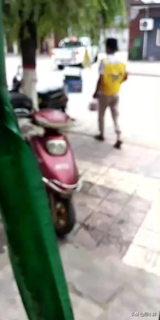 绿佳、绿驹电动车哪个好？