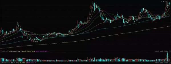 通用汽车离场,尼古拉跌下神坛!中国氢能市场行情“风”从哪来?
