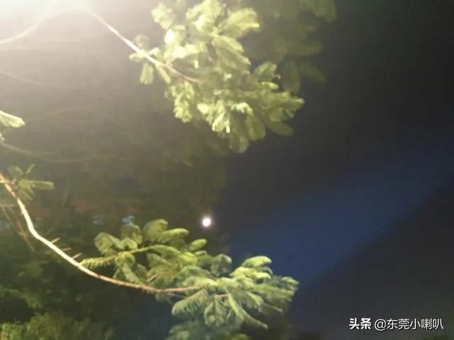 王艳和赵丽颖都饰演《还珠格格》里的晴儿，你更喜欢哪一个？