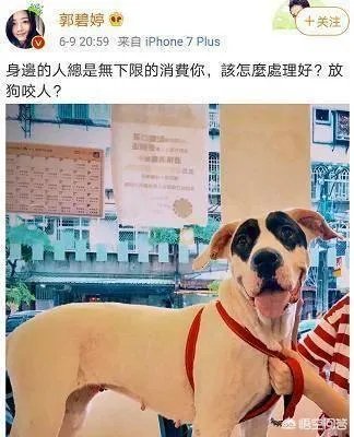 6月17日郭碧婷腹部隆起似皮球被猜测怀孕，为什么明星生子这么多人关注？