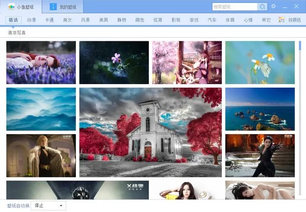 动态鱼桌面壁纸软件