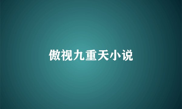 傲视九重天小说