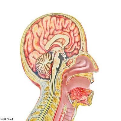 脑海绵状血管瘤的治疗方法有哪些