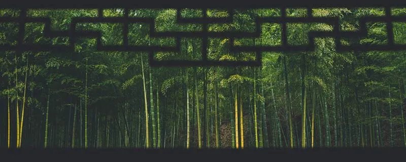 竹子是什么 竹子是树还是草为什么