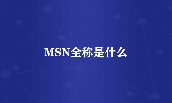 MSN全称是什么