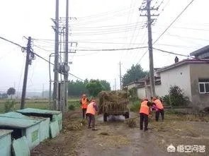 如果人常不在家住还要交卫生费吗