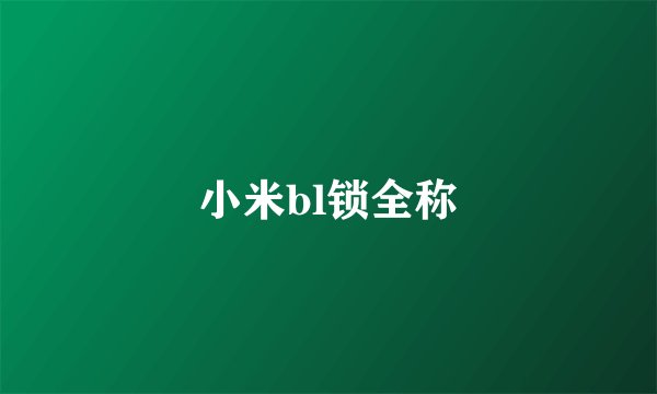 小米bl锁全称