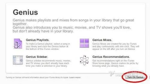iphone的genius怎么用