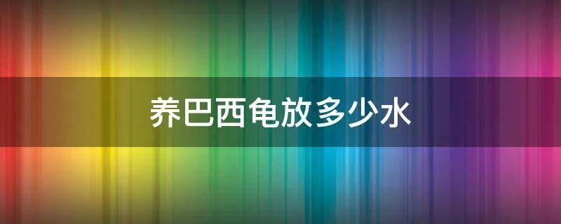 养巴西龟放多少水