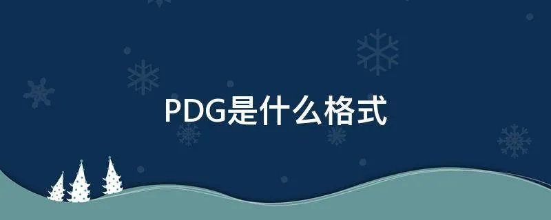 PDG是什么格式