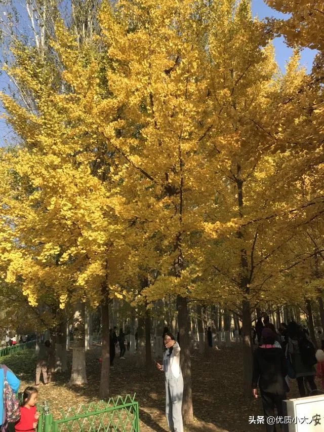 刚看完skt和g2的比赛，感觉lpl已经凉了一半了，你怎么看