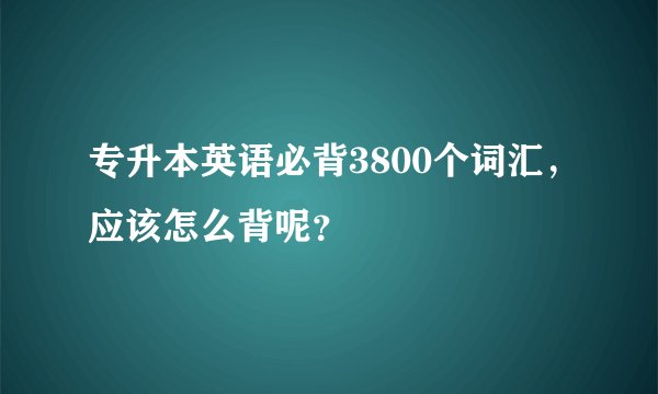 专升本英语必背3800个词汇，应该怎么背呢？