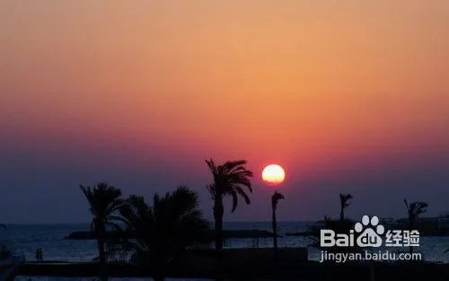 怎样安排埃及探秘之旅