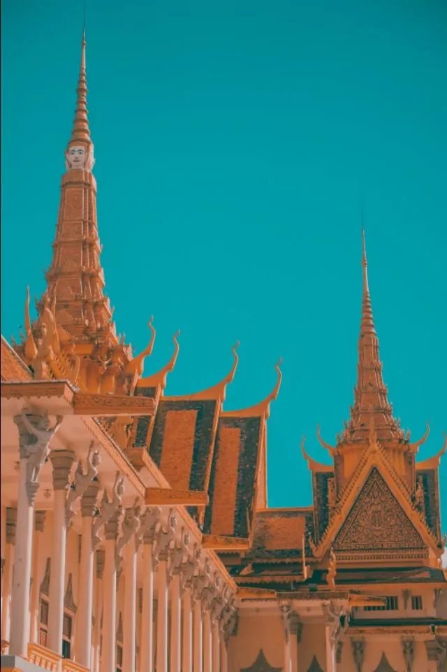 有什么入门单反推荐?跪谢？