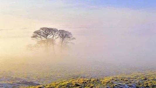 北京发布大雾黄色预警，大雾一般是怎么形成的？