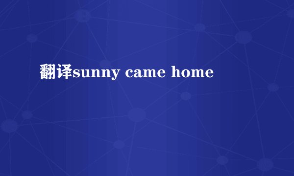 翻译sunny came home