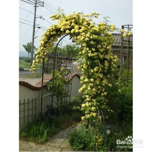 花拱门制作方法