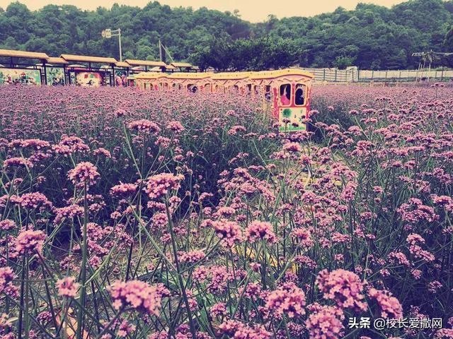 休闲农庄如何变身农业旅游景区？