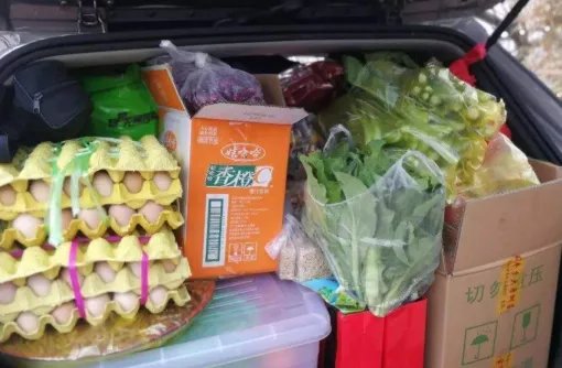 母亲摘百斤柿子送儿子返程，后备箱除了东西还能装什么？